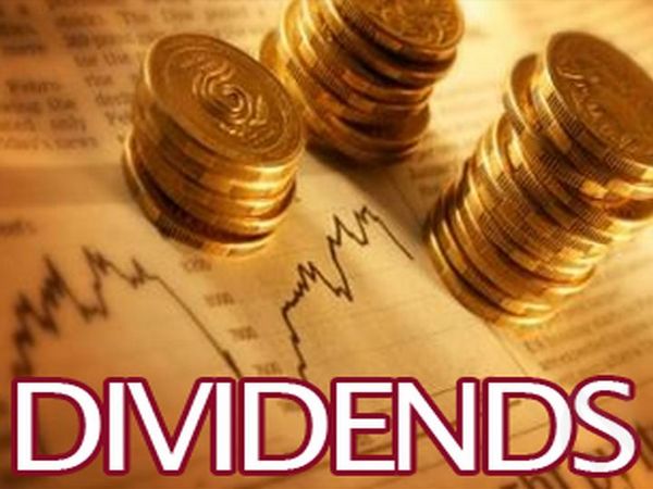 The Importance of Dividends Definition Image